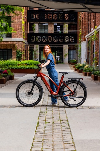 Diagnostic Electrique